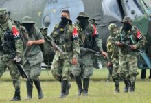 ELN members arrive in Cali