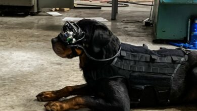 A new technology provides military working dogs with augmented reality goggles that allows a dog’s handler to give it specific directional commands while keeping the warfighter remote and out of sight