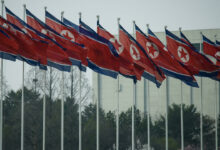 North Korean flags