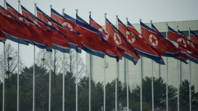North Korean flags
