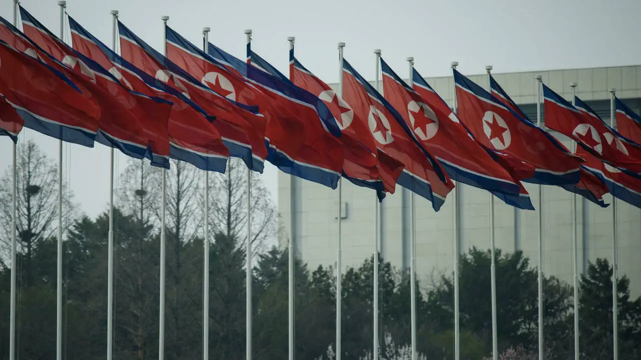 North Korean flags