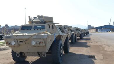 M117 Guardian