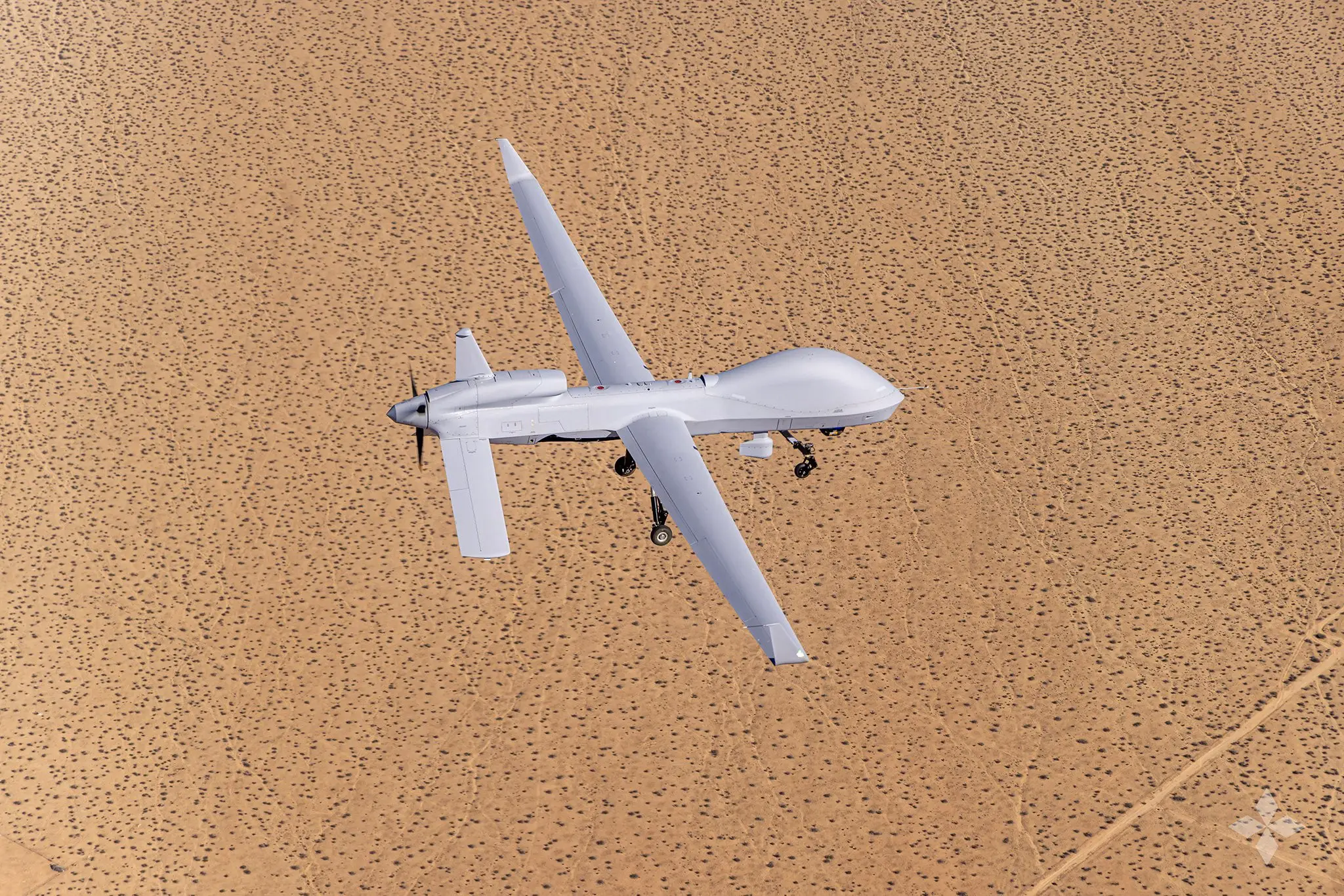 Gray Eagle 25M