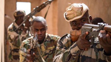 Niger Armed Forces at Nigerien Air Base 201