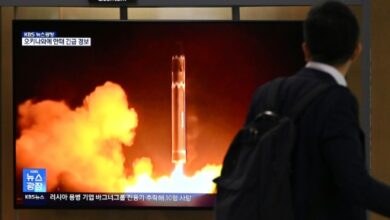 North Korea satellite